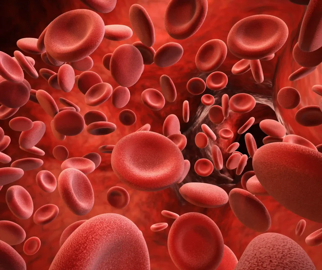 What Is a Blood Clot